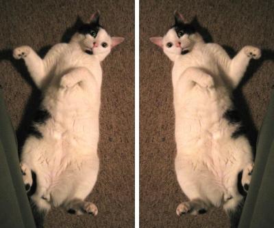 July 2007, Mogley giving the seducer's belly