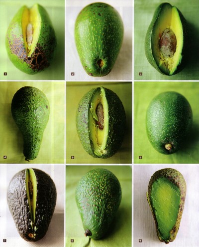 September 2007, Saveur, Avocado Love, Know Your Avocados, p. 84