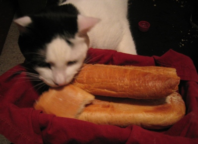 18 October 2007, Mogli bellying up to the bread