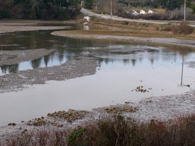 The morning change of the tide, Big Beef Bay, Seabeck, Washington, 6 March 2007, 10:45 AM