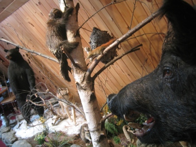 13 July 2008, Pennsylvania menagerie