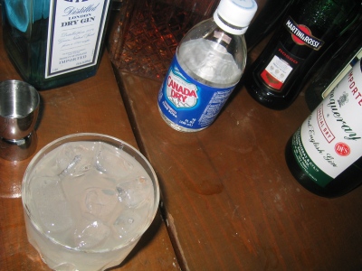 A cocktail on Repeal Day, 5 December 2008