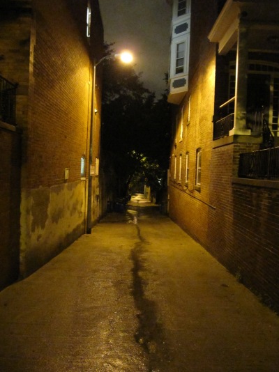 A hot, wet night in Washington, D.C., 23-24 July 2009